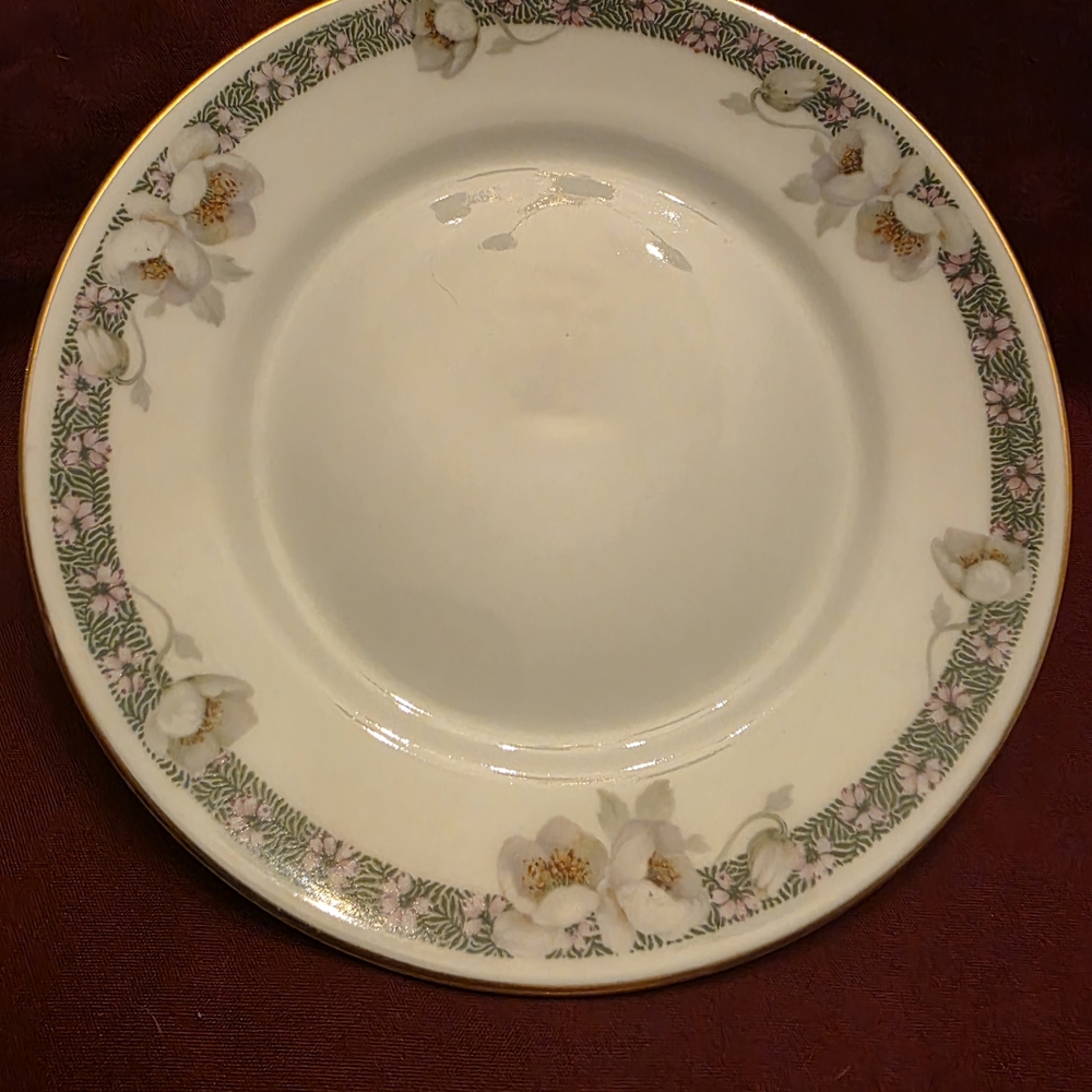 Rare*Thomas Bavaria China 3357 (1951) Floral Bread And Butter Plates. Set Of 5.
